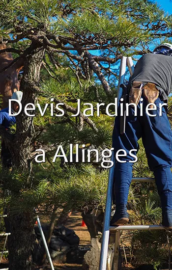 Devis Jardinier a Allinges