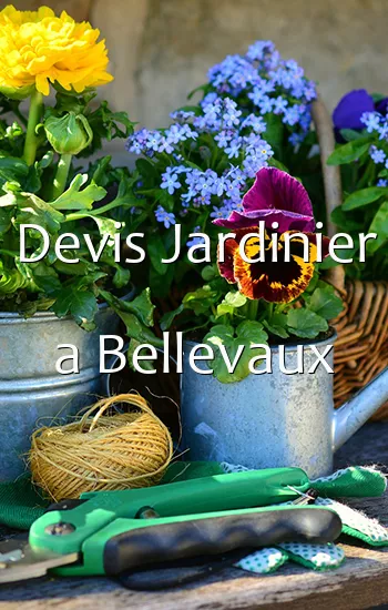 Devis Jardinier a Bellevaux