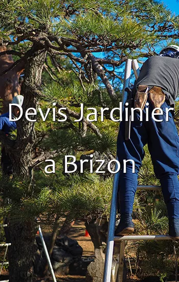 Devis Jardinier a Brizon