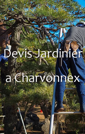 Devis Jardinier a Charvonnex