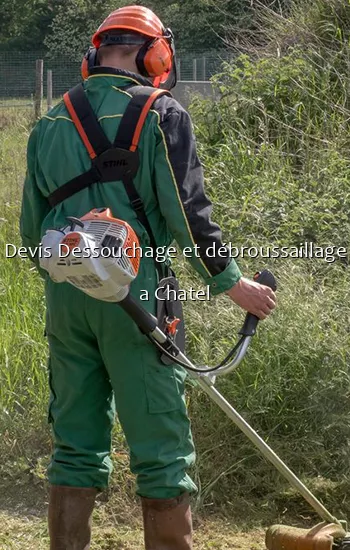 Devis Dessouchage et débroussaillage a Chatel