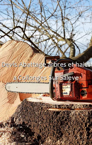 Devis Abattage arbres et haies a Collonges Sur Saleve