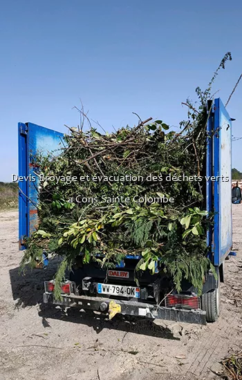 Devis Broyage et évacuation des déchets verts  a Cons Sainte Colombe