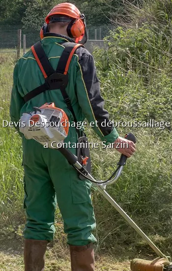 Devis Dessouchage et débroussaillage a Contamine Sarzin