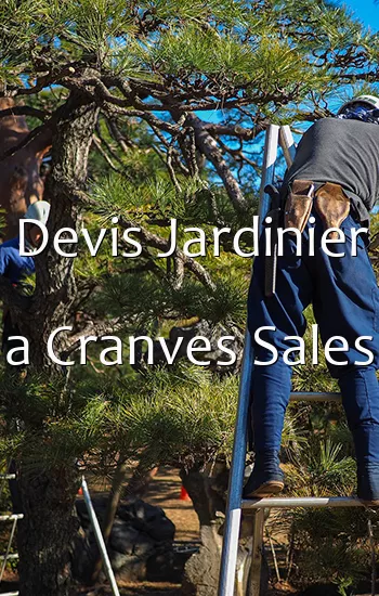 Devis Jardinier a Cranves Sales