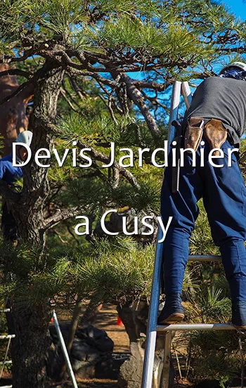 Devis Jardinier a Cusy