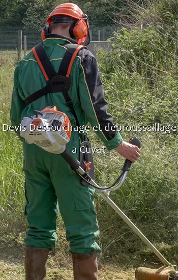 Devis Dessouchage et débroussaillage a Cuvat