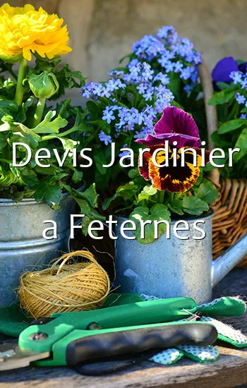 Devis Jardinier a Feternes