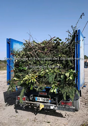 Devis Broyage et évacuation des déchets verts  a Monnetier Mornex