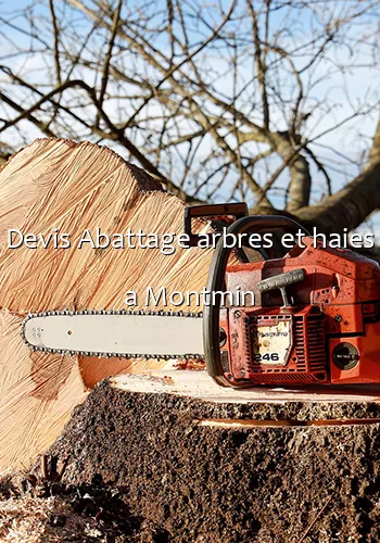 Devis Abattage arbres et haies a Montmin