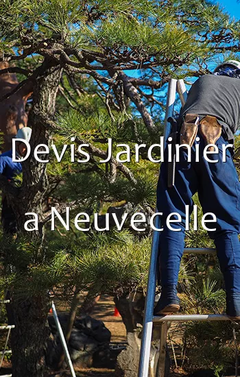 Devis Jardinier a Neuvecelle