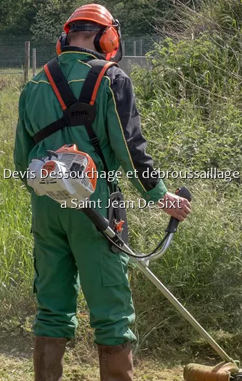 Devis Dessouchage et débroussaillage a Saint Jean De Sixt