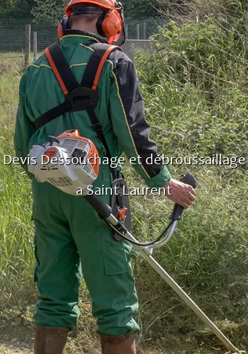 Devis Dessouchage et débroussaillage a Saint Laurent