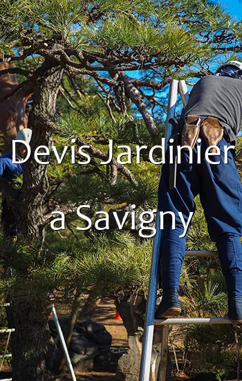 Devis Jardinier a Savigny