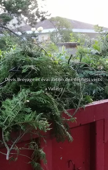 Devis Broyage et évacuation des déchets verts  a Valleiry