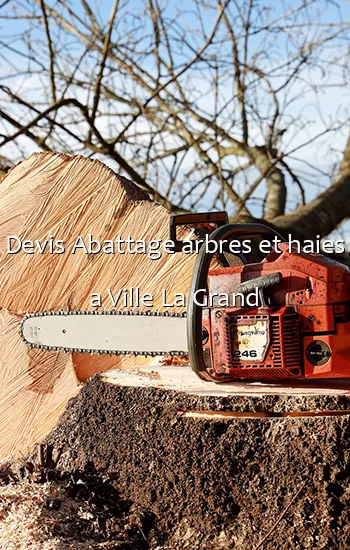 Devis Abattage arbres et haies a Ville La Grand