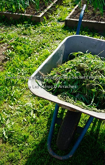 Devis Broyage et évacuation des déchets verts  a Les Carroz D Arraches